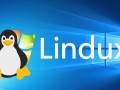 Windows系统更换Linux，新手小白怎么操作才不踩坑？