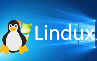 Windows系统更换Linux，新手小白怎么操作才不踩坑？