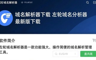 左轮域名解析器最新版下载真的安全可靠吗？