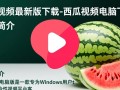 西瓜视频电脑版下载最新版怎么用？