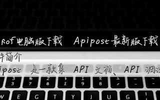 Apipost电脑版下载-Apipost最新版下载