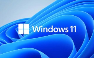 Windows 11广告视频有何新意？
