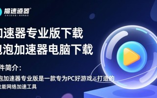泡泡加速器专业版电脑下载怎么用？安全吗？