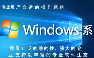 pro用windows系统
