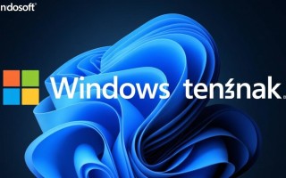 Windows终端打不开怎么办？解决方法有哪些？