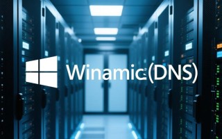 Windows域动态DNS如何实现自动更新与故障排查？