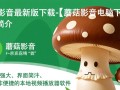蘑菇影音最新版下载-蘑菇影音电脑下载