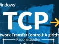 Windows TCP拥堵算法如何影响网速和下载速度？