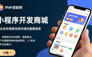 PHP小程序开发商城哪家好？功能定制价格怎么算？