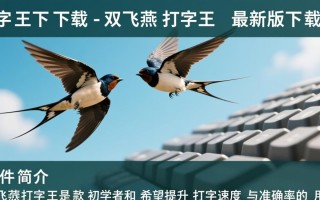双飞燕打字王下载-双飞燕打字王最新版下载