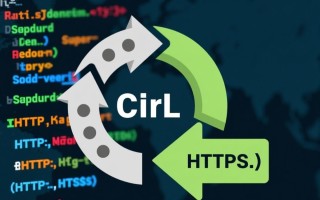 phpcurl用post发送数据时，如何正确传参并避免常见错误？