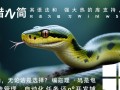 Python编写Windows工具，如何实现跨系统兼容与高效功能？