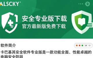 卡巴斯基专业版安全软件下载，电脑防护必备