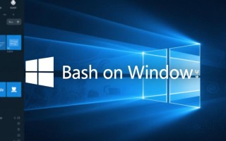Bash on Windows如何设置清晰易读的中文字体？