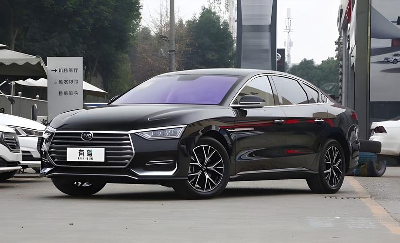 比亚迪Windows 9是车机系统还是新车代号?-第2张图片-圣源康复 比亚迪Windows 9是车机系统还是新车代号?-第2张图片-圣源康复