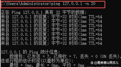 Windows批量ping工具如何高效检测多主机连通性?-第3张图片-99系统专家 Windows批量ping工具如何高效检测多主机连通性?-第3张图片-99系统专家