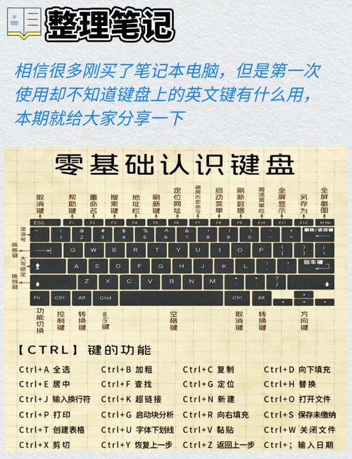 windows键盘服务名称-第1张图片-99系统专家 windows键盘服务名称-第1张图片-99系统专家