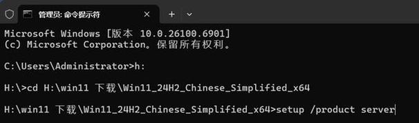 如何安全跳过Windows检测？-第2张图片-99系统专家