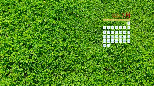 爱普生1430清零软件V1.0绿色免费版在哪下载？-第2张图片-99系统专家