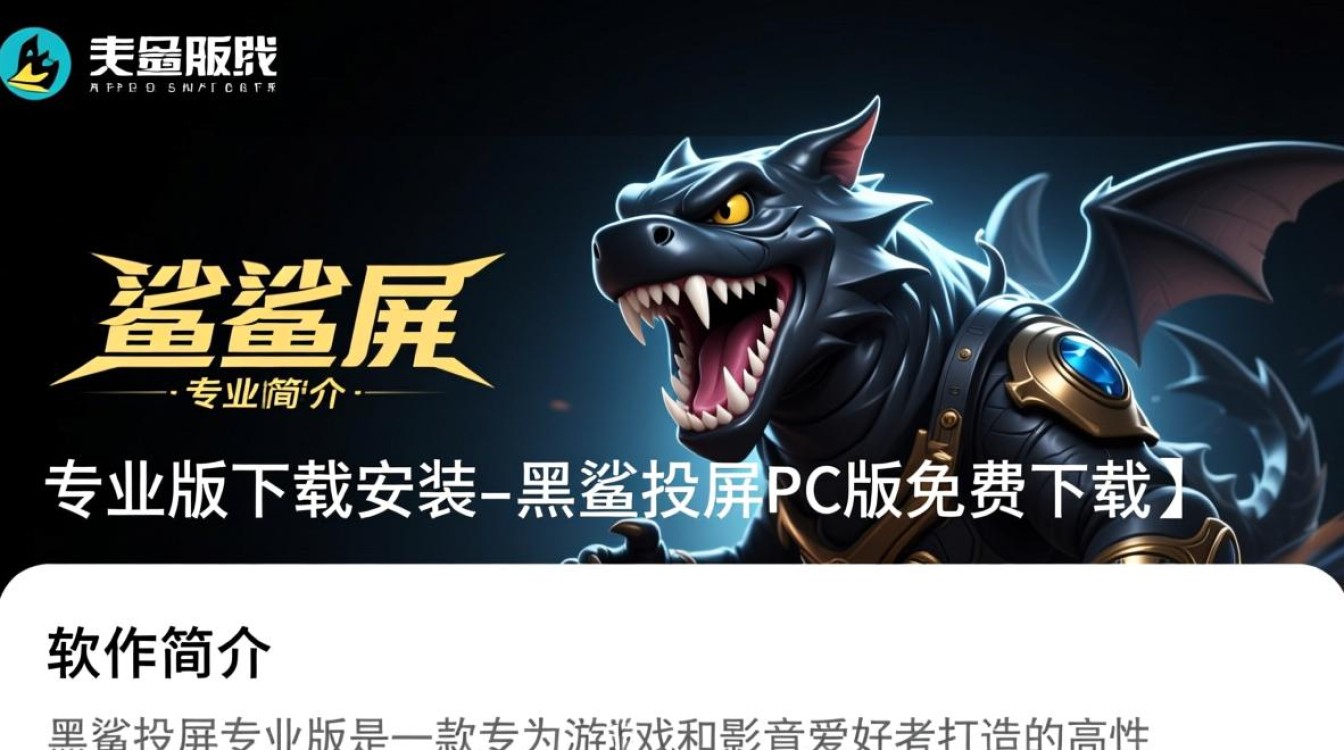 黑鲨投屏专业版PC免费下载安装-第3张图片-99系统专家 黑鲨投屏专业版PC免费下载安装-第3张图片-99系统专家