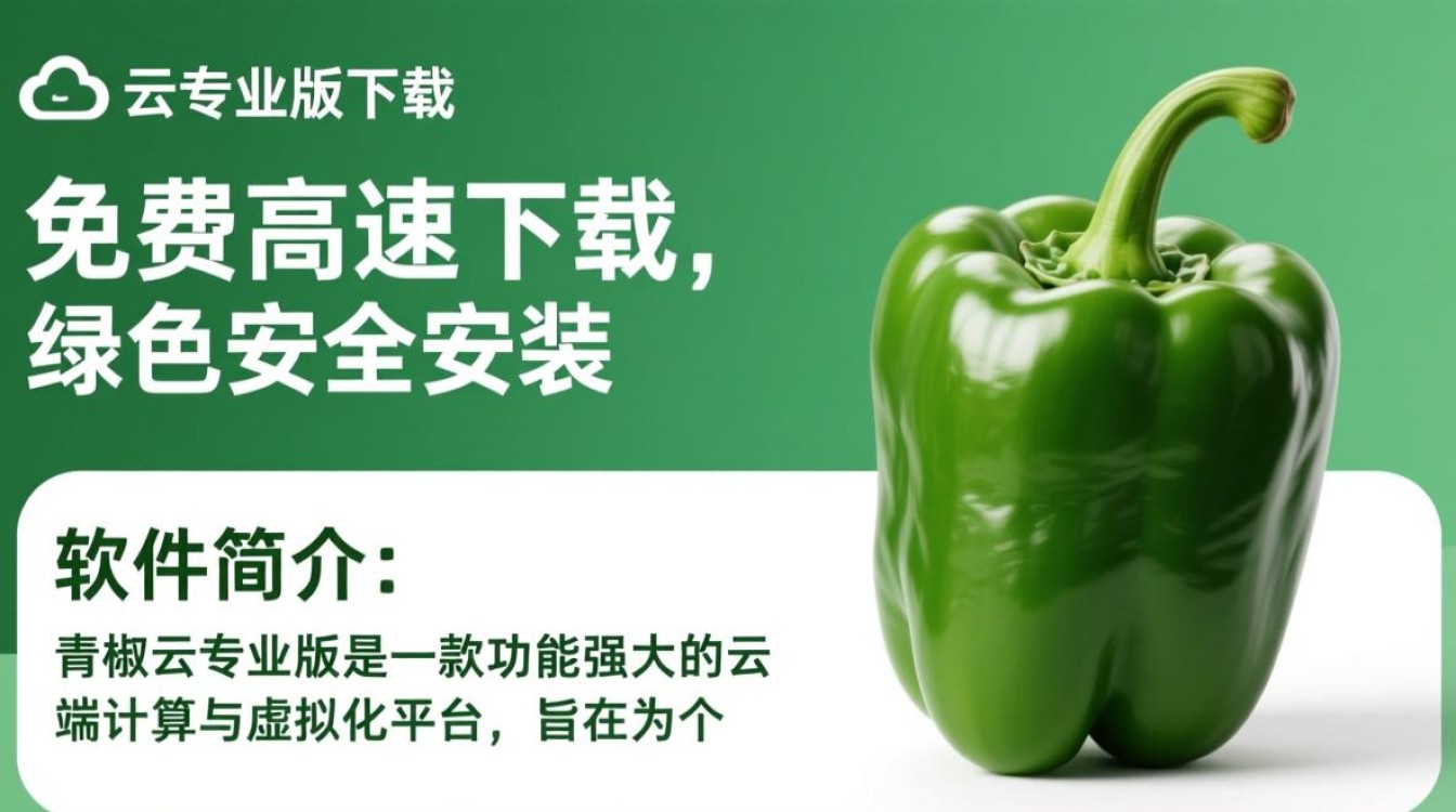 青椒云专业版下载安装-第2张图片-99系统专家 青椒云专业版下载安装-第2张图片-99系统专家