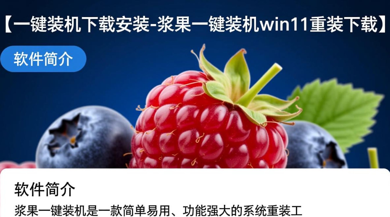 浆果一键装机下载,Win11重装工具快速安装-第1张图片-99系统专家 浆果一键装机下载,Win11重装工具快速安装-第1张图片-99系统专家