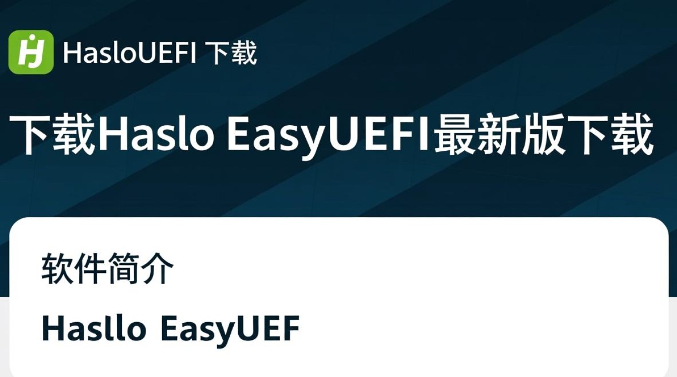 Hasleo EasyUEFI最新版下载在哪里找？安全吗？-第3张图片-99系统专家