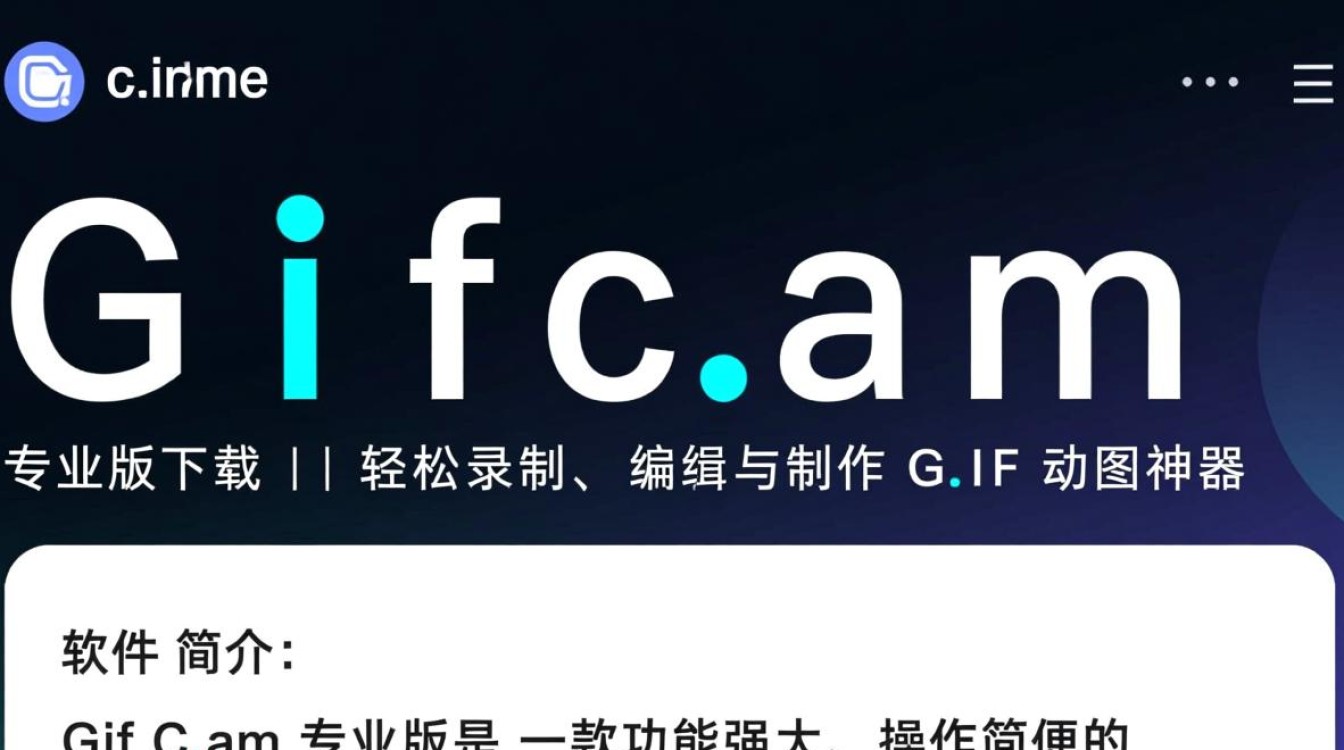 GifCam专业版下载安装步骤是什么？电脑版哪里能下载？-第2张图片-99系统专家
