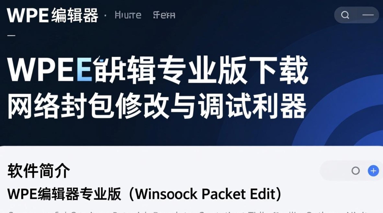 WPE编辑器专业版下载安装步骤是怎样的？-第2张图片-99系统专家