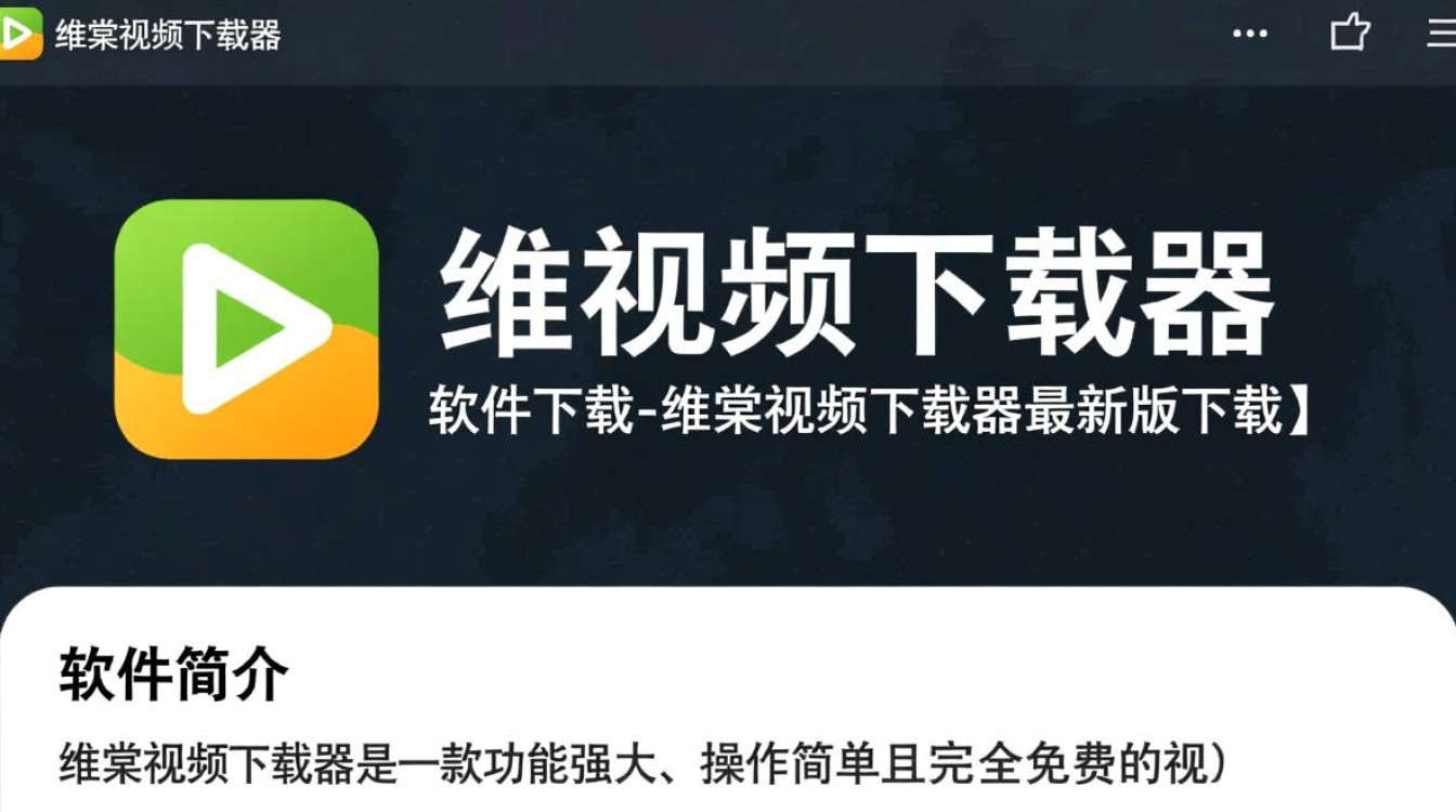 维棠视频下载器最新版安全吗？下载时要注意什么？-第3张图片-99系统专家