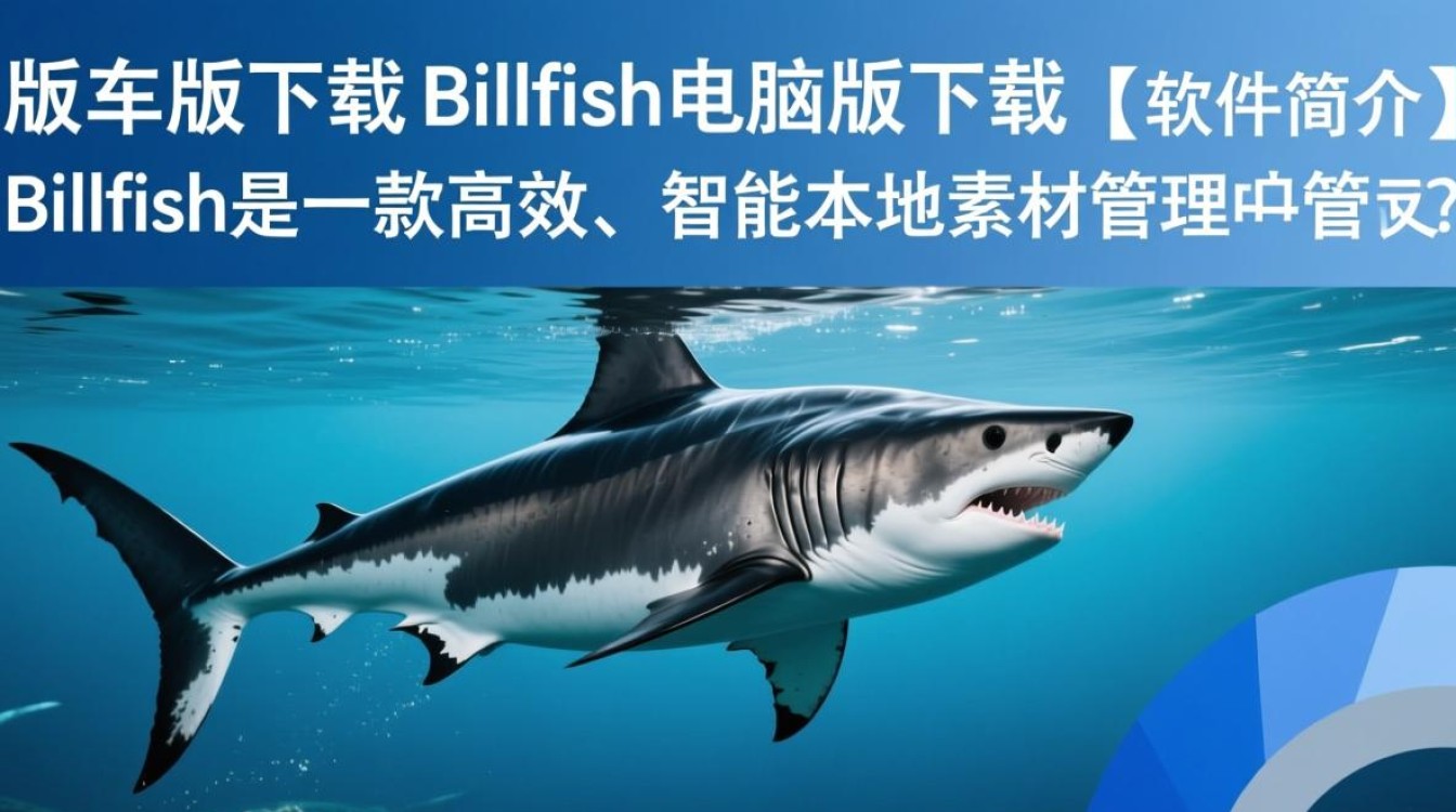 Billfish正式版电脑版下载哪里找？安全吗？好用吗？-第2张图片-99系统专家
