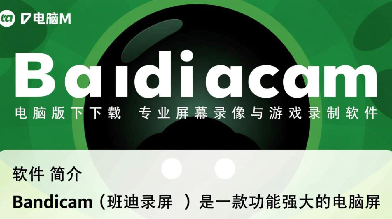 Bandicam电脑版免费下载安全吗？有没有官方免费渠道？-第3张图片-99系统专家