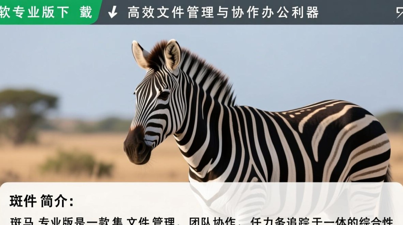 斑马专业版下载后安装失败怎么办？-第1张图片-99系统专家