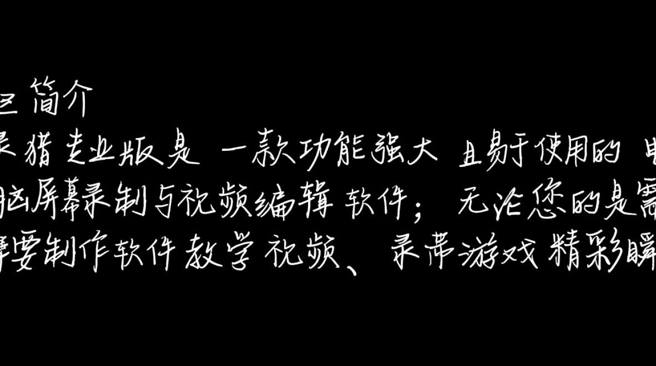 录猎电脑端专业版怎么下载安装？-第1张图片-99系统专家