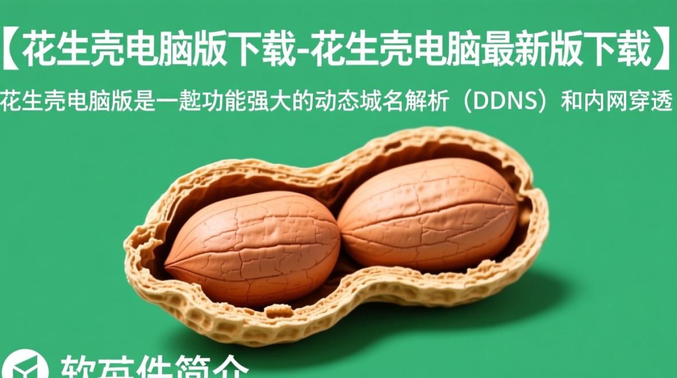 花生壳电脑版最新版下载在哪里找？安全吗？-第1张图片-99系统专家