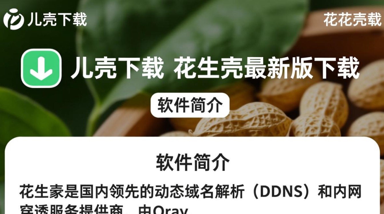 花生壳最新版下载在哪？安全吗？怎么安装？-第2张图片-99系统专家