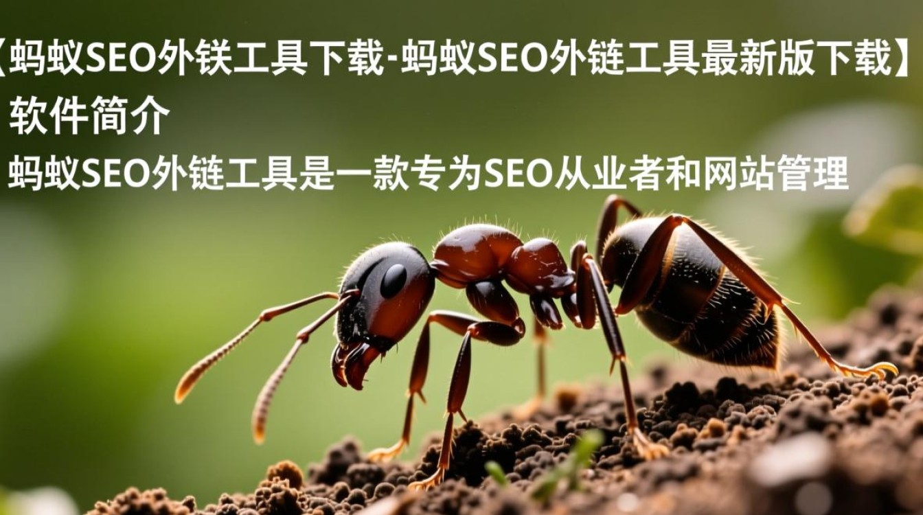 蚂蚁SEO外链工具最新版下载真的安全有效吗？-第3张图片-99系统专家